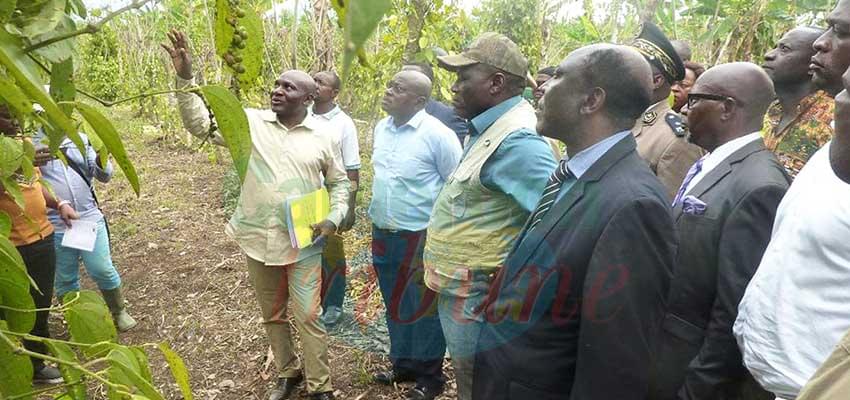 Moungo : MINADER Visits Agricultural Projects