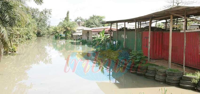 Le Wouri de plus en plus menaçant pour les riverains. Le Wouri de plus en plus menaçant pour les riverains.