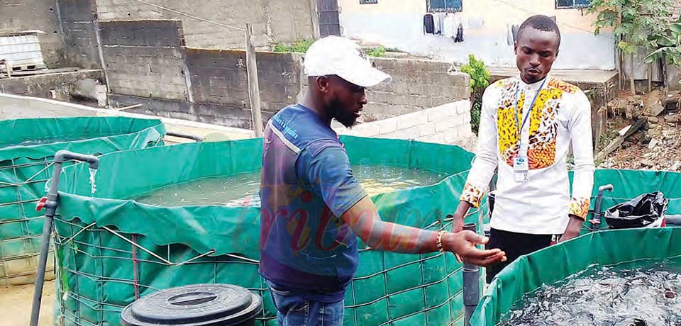 Entrepreneuriat agropastoral : les pépites du PEA-Jeunes