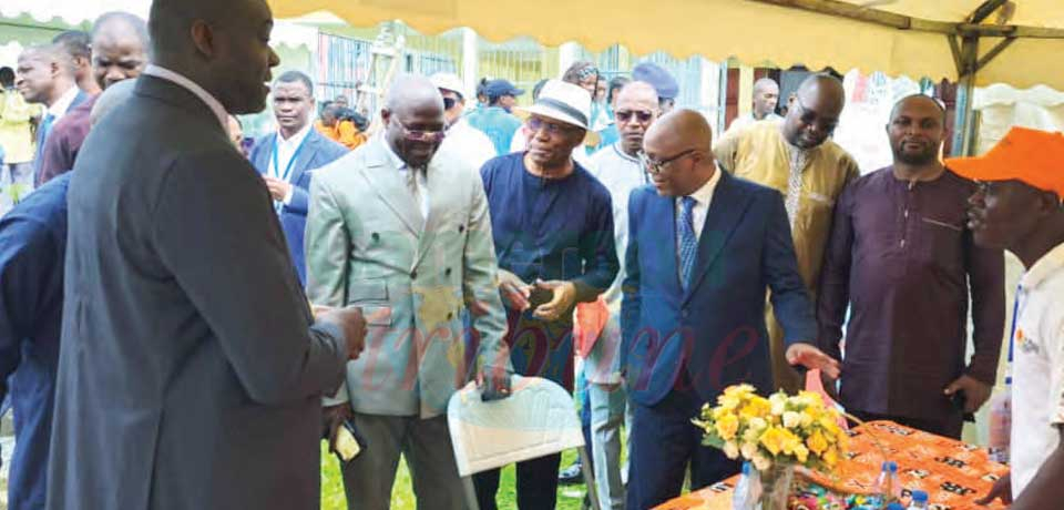 Insertion professionnelle : la compétence seule ne suffit pas Insertion professionnelle : la compétence seule ne suffit pas