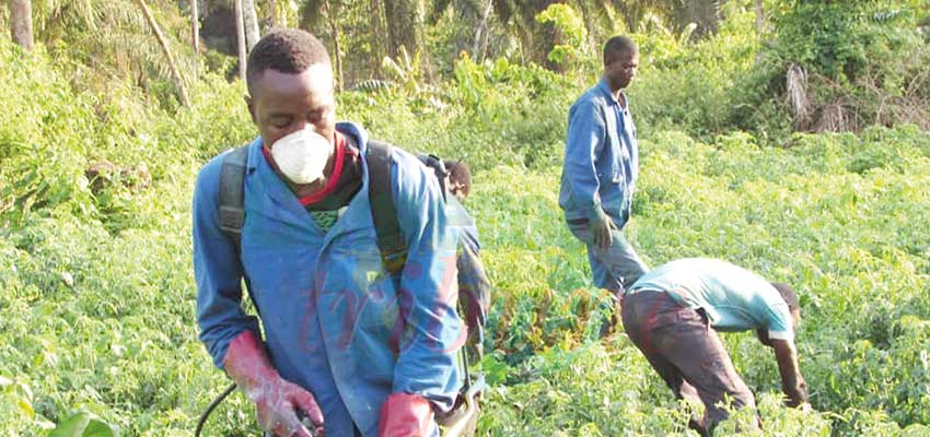 Entreprenariat agricole : en quête de terrains