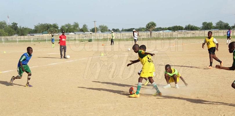 Football jeunes: l’Anafoot recrute à l’Extrême-Nord