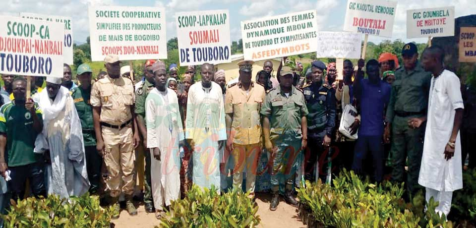 Développement de la filière anacarde : le chef de l’Etat offre 25000 plants aux producteurs