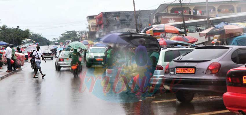 Kribi : l’appel du MRC tombe dans l’Océan