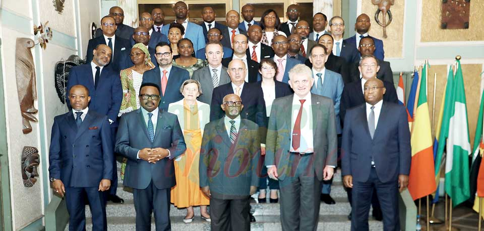 Cameroon-European Union : Security, General Issues Scrutinised