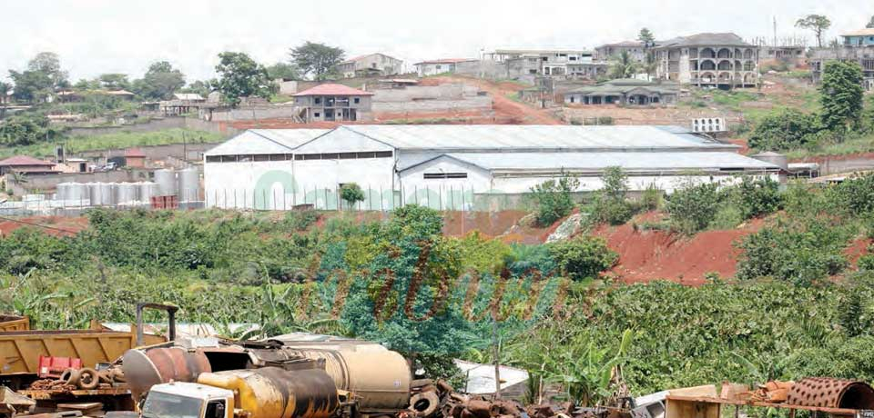 Conflit dans la zone industrielle de Yaoundé Sud : l’Etat opte pour le consensus