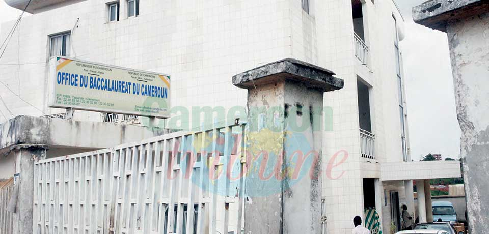 Office du baccalauréat du Cameroun : plus de 900 000 diplômes en souffrance Office du baccalauréat du Cameroun : plus de 900 000 diplômes en souffrance