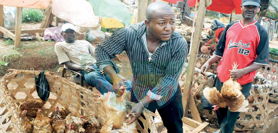 Prix de la farine de blé et du poulet : l’appel du ministre suivi