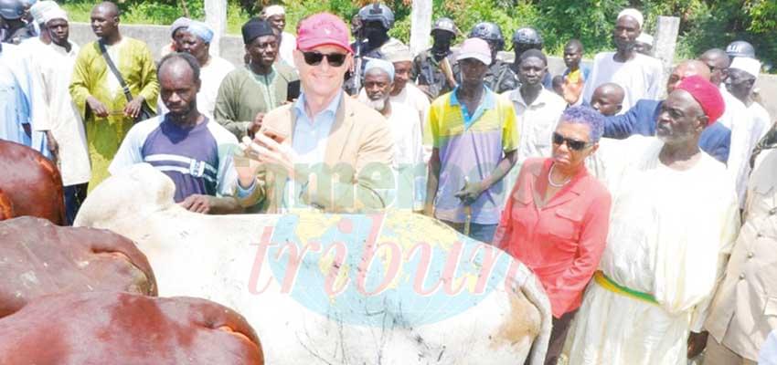 Le bon fonctionnement du marché à bétail de Gazawa est encourageant.