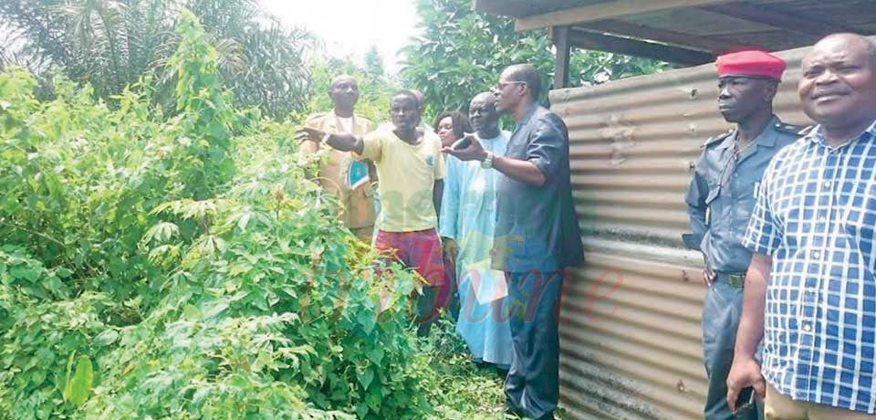 Autorité Kribi-Lolabé : des irrégularités freinent le processus