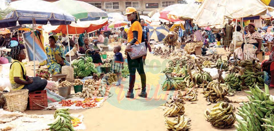 Situation économique du Cameroun : Vigilance, toujours