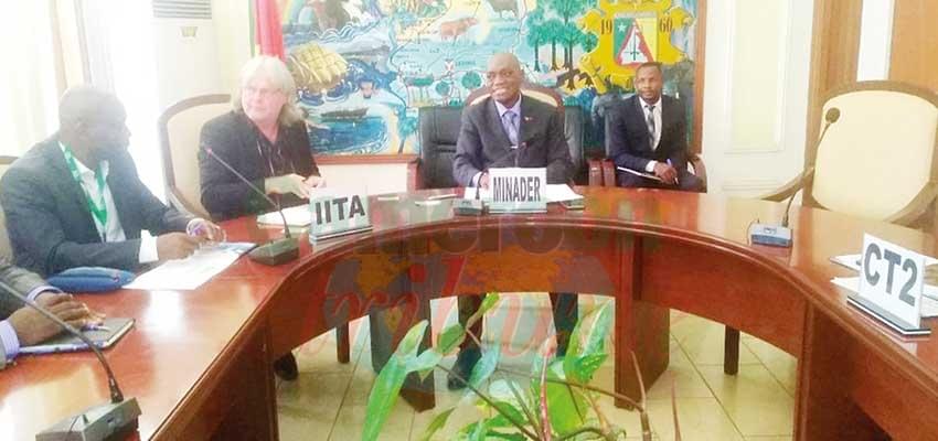 Recherche agricole: l’IITA propose son expertise