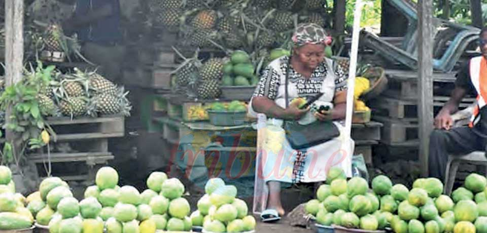 Le marché de fruits, une identité remarquable de Njombe-Penja.