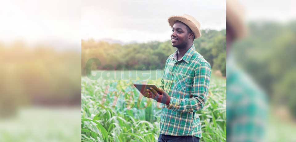 Développement agricole : le numérique creuse ses sillons