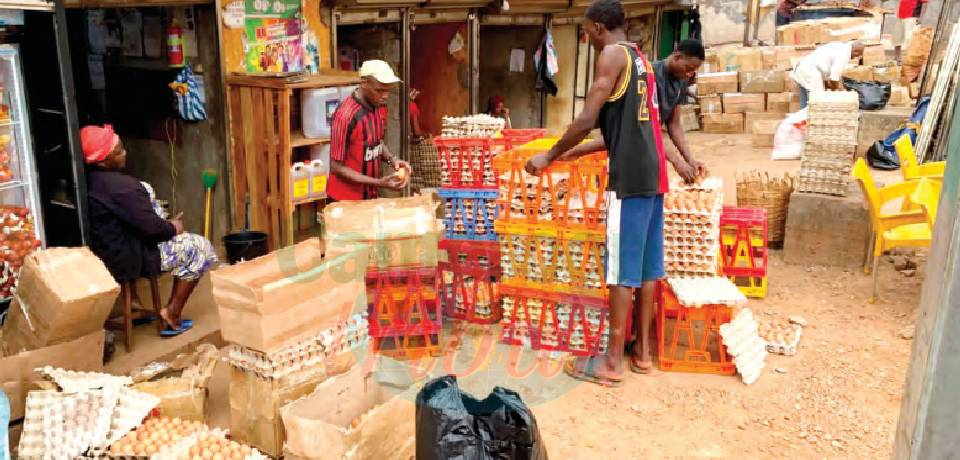 Marché Mokolo: Au royaume des œufs Marché Mokolo: Au royaume des œufs