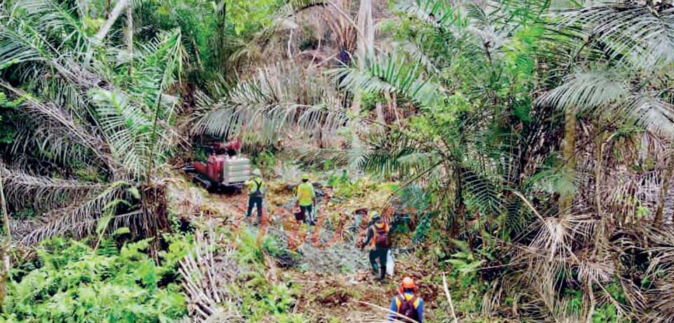 Rutile d’Akonolinga : l’exploration s’arrête Rutile d’Akonolinga : l’exploration s’arrête
