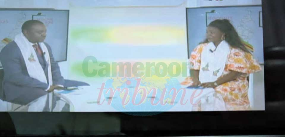 Propagande : les partis s’affichent à l’écran