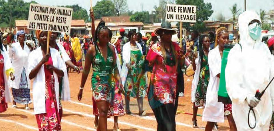 Ngaoundéré : des pas cadencés pour accélérer le rythme Ngaoundéré : des pas cadencés pour accélérer le rythme