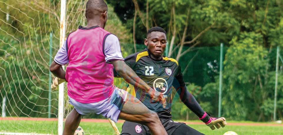 Coupes africaines: Colombe et Aigle parés Coupes africaines: Colombe et Aigle parés