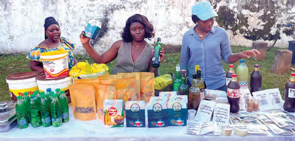 Développement local : les femmes rurales en action