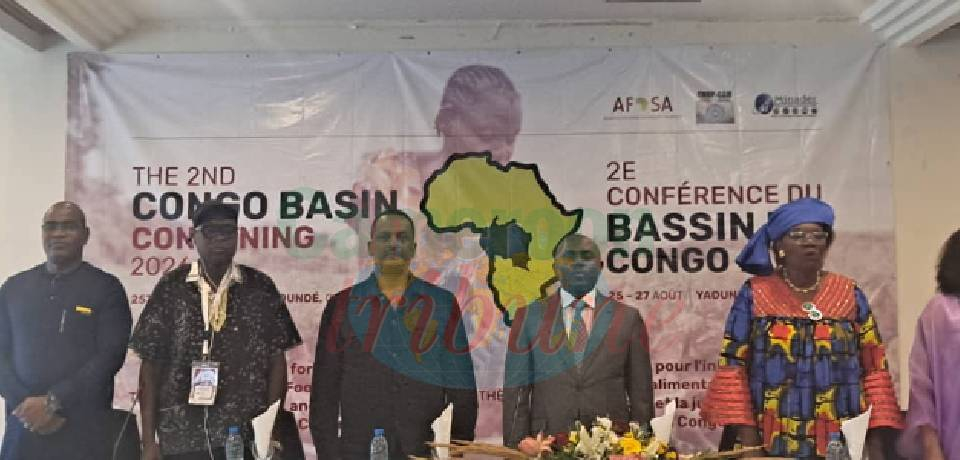 Youth, Women, Indigenous People: Yaounde Declaration Pledges 50% Leadership Roles