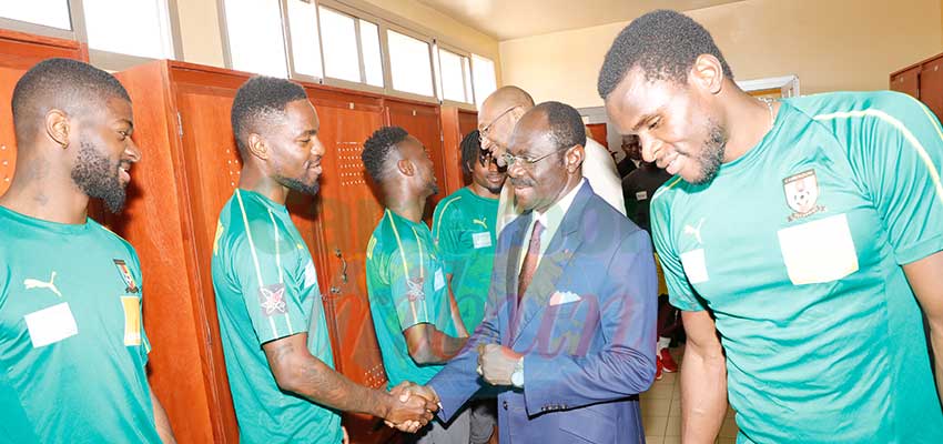 Cameroon - Comoros: Minister Encourages Lions