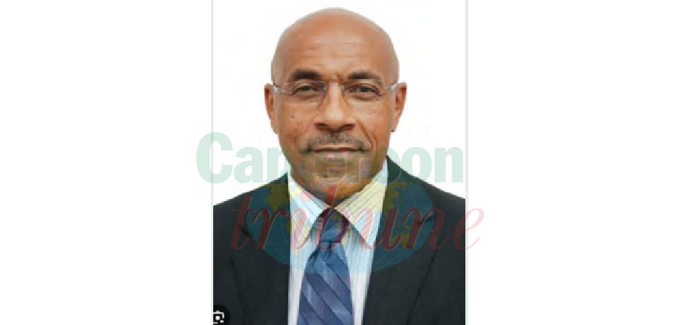 Post Author Avatar