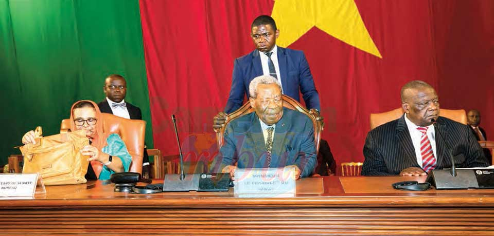 Adhésion du Cameroun à l’Africa Finance Corporation : le Sénat est d’accord