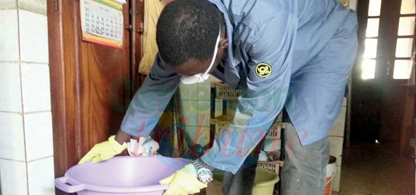 Mang Agro : idées pour une alimentation bio Mang Agro : idées pour une alimentation bio