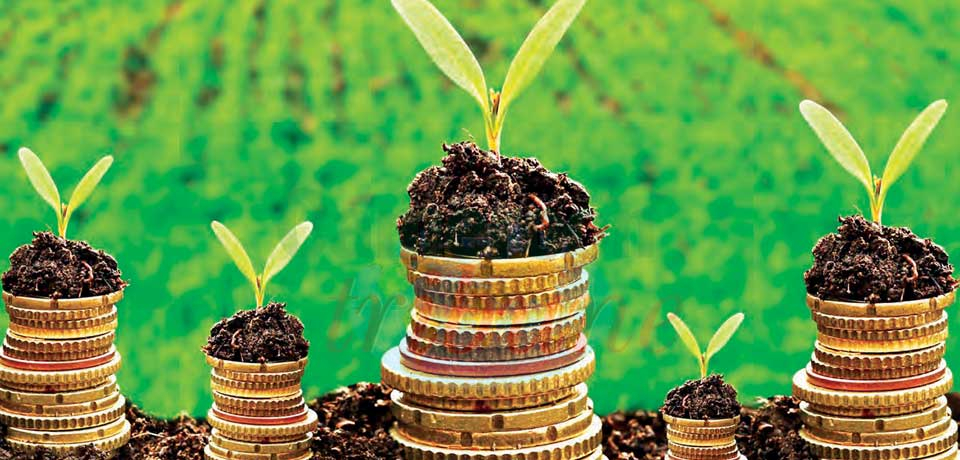 Obligations vertes et sociales : la nouvelle niche de financement