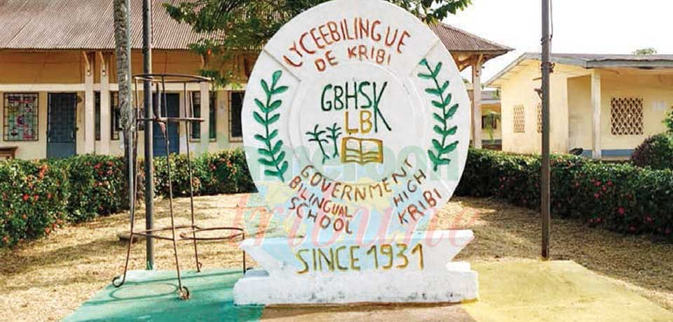Lycée bilingue de Kribi : l’APEE suspendue Lycée bilingue de Kribi : l’APEE suspendue