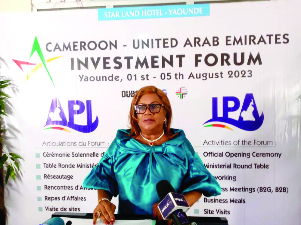 Coopération Cameroun-Emirat arabes unis : un forum d'investissement annoncé