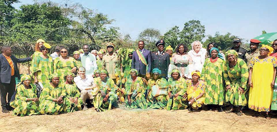 Développement de la filière cacao : la touche des femmes