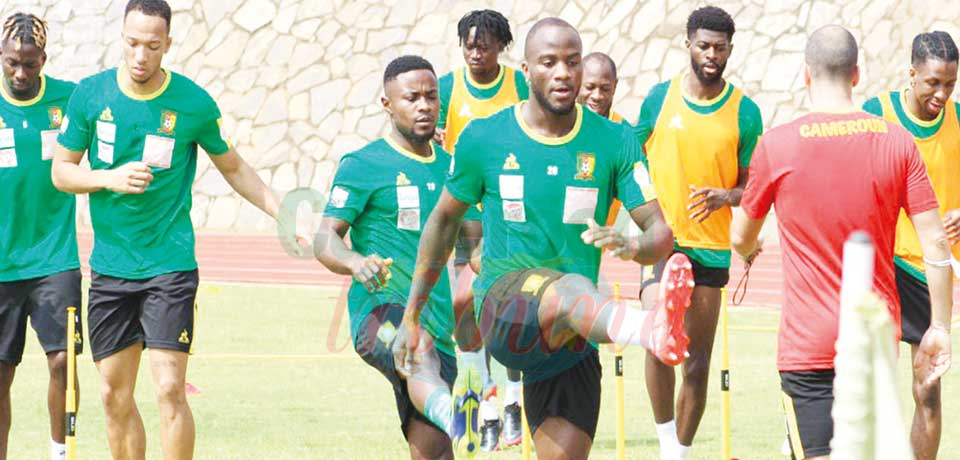 Revue des Lions : du mordant en attaque