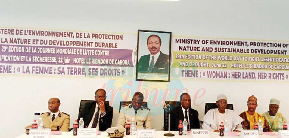 Lutte contre la désertification : le Cameroun continue le combat
