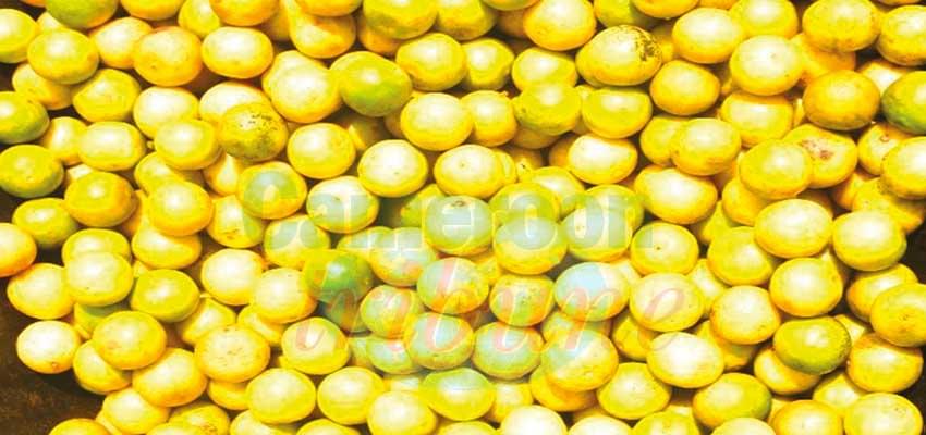 Citron, gingembre, ail… : folles enchères Citron, gingembre, ail… : folles enchères