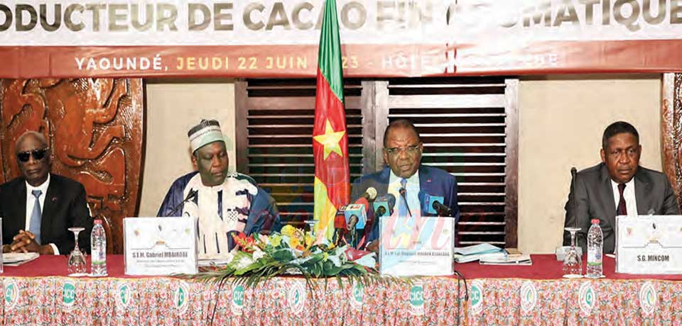 Production du cacao : le Cameroun dans le club des fins