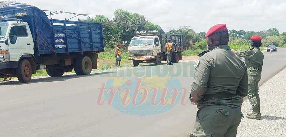 Yaoundé-Bafia-Makenene : la gendarmerie sur le qui-vive Yaoundé-Bafia-Makenene : la gendarmerie sur le qui-vive