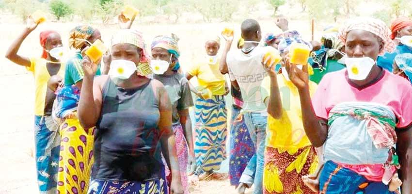 Maroua : le ministère de l’Environnement sur le terrain Maroua : le ministère de l’Environnement sur le terrain
