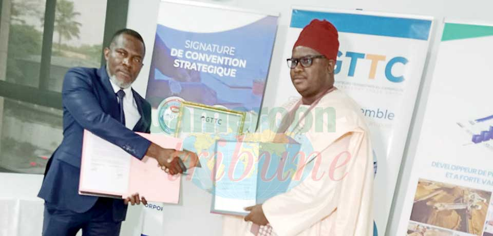 Transport terrestre : la professionnalisation en route Transport terrestre : la professionnalisation en route