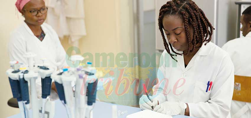 Lutte contre le VIH/sida : les bonus de la recherche Lutte contre le VIH/sida : les bonus de la recherche