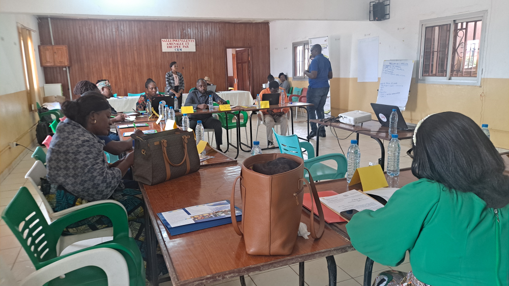 Despite legislative and institutional advances in inclusive education in Cameroon, a persistent gap remains between expectations and the reality on the ground.