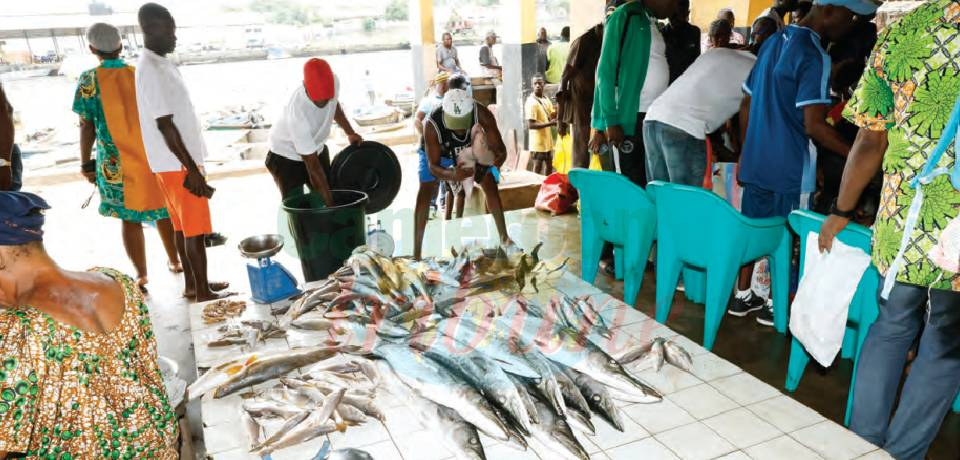 Commerce: Quand la balance ne fait plus le poids