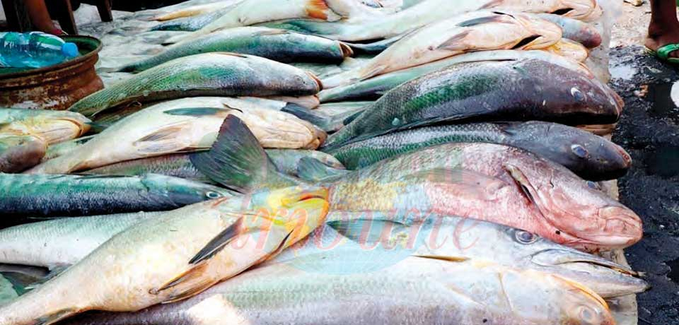 Produits dangereux : des intrus au menu Produits dangereux : des intrus au menu
