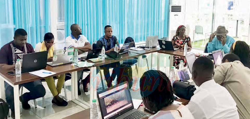 Ils bénéficient d’une bourse de formation du projet Open Data for Environment in Cameroon.