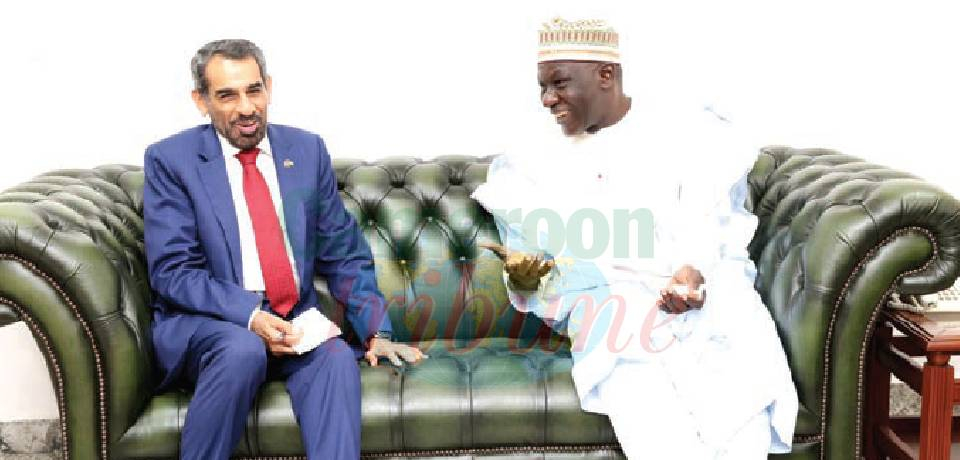 Cameroun-Emirats arabes unis, Grande-Bretagne: Perspectives prometteuses