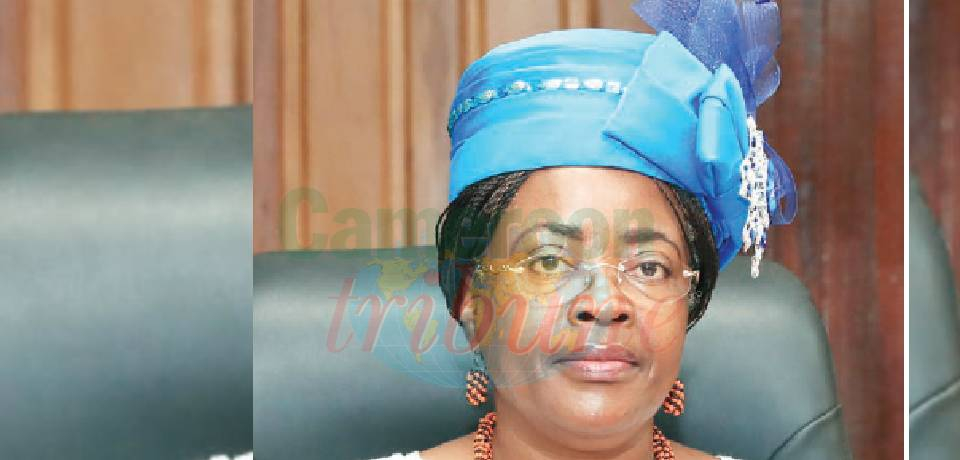 « L’économie numérique camerounaise est en pleine construction »