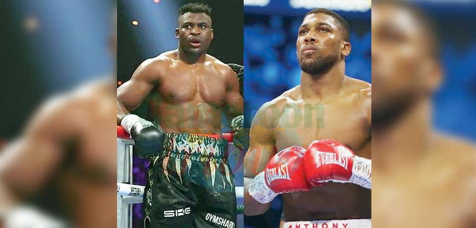 Boxing : Ngannou To Challenge Anthony Joshua