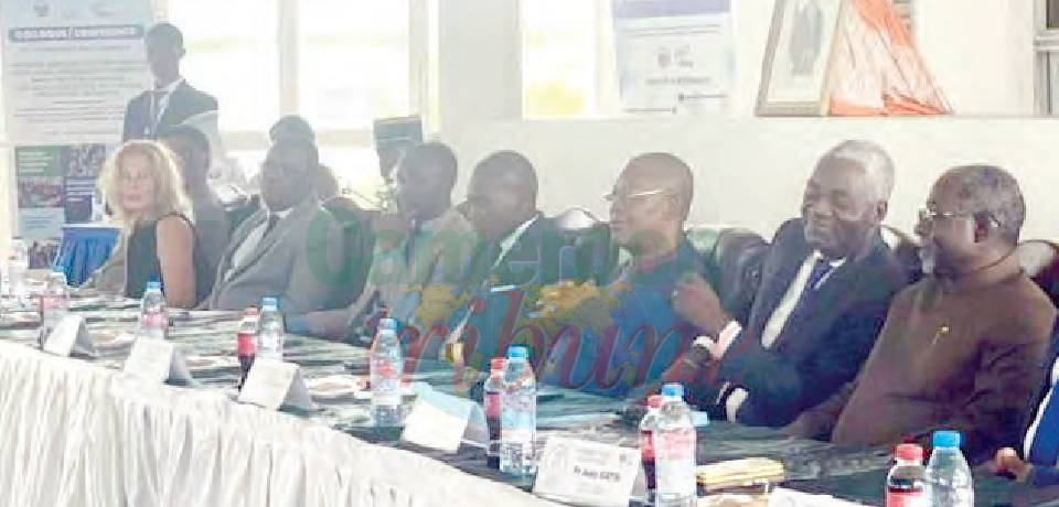 IUT de Douala, site d’Edéa: La pédagogie autrement