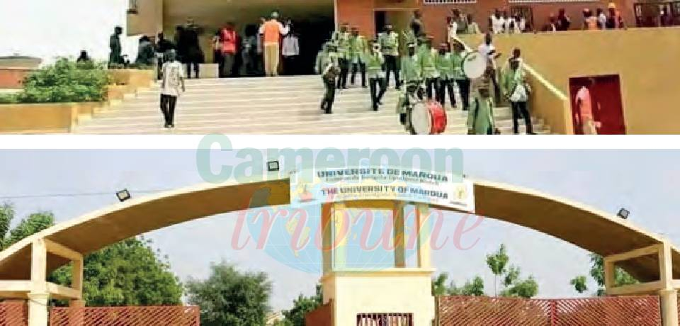 Université de Maroua: La formation sort des amphithéâtres